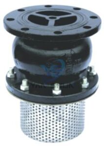 Globe Type Foot Valves With Strainer